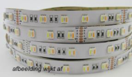 5000X10 SMD3528